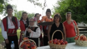 Днес в село Гавраилово започва "Златна праскова 2011" - Agri.bg
