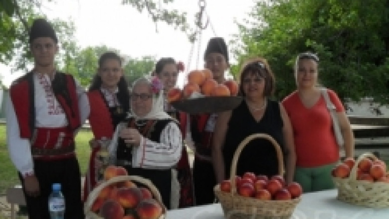 Днес в село Гавраилово започва "Златна праскова 2011"