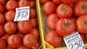 Митинг срещу ниските изкупни цени на зеленчуците ще се проведе утре - Agri.bg