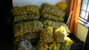 ДФЗ започва изплащане на субсидии на производителите на картофи - Agri.bg