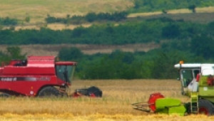 Над 45 000 тона пшеница е ожъната до момента в райoна на Велико Търново - Agri.bg