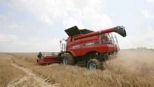 В Исперих и Кубрат вече жънат пшеницата - Agri.bg