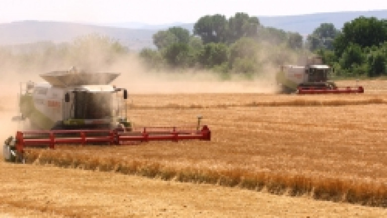Продажбата на зърно от новата реколта стартира с ниски изкупни цени