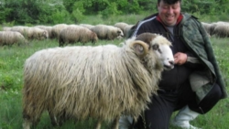 Каракачанска овца, Калоферска коза и много био-продукти на нов фестивал