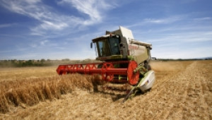 7368 зърнокомбайна ще изкарат жътвата в България през 2011 г. - Agri.bg