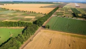 Над 100 000 дка са прибавени към допустимия слой след възраженията на фермери - Agri.bg
