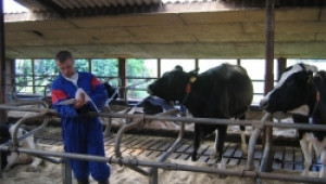 Млекопроизводители искат защитна цена на млякото и регулатор за мандрите - Agri.bg
