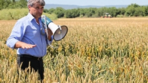 Доц. Костадин Костов: Европа е засегната от голяма суша и загуби на реколта - Agri.bg