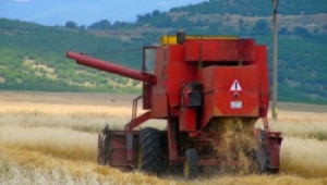 Започна жътвата в Благоевградско. Очакват 350 кг. пшеница от декар - Agri.bg