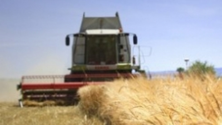 3,9 млн.т. пшенична реколта очаква МЗХ от зърнопроизводителите