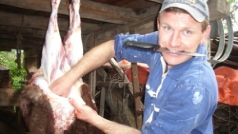 Пощадените от шапа животни в Бургаско вече се продават