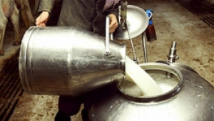 Богинята на млякото отиде в кабинета на зам.-министър Цветан Димитров - Agri.bg
