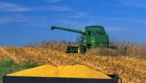 Очакват рекордно високо ниво на зърнопроизводство през новия сезон - Agri.bg