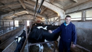 Около 100 000 ферми ще бъдат закрити след каря на 2011г., опасяват се стопани - Agri.bg