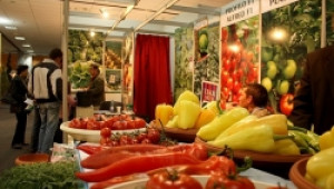 Катастрофален спад в производството на български плодове и зеленчуци - Agri.bg