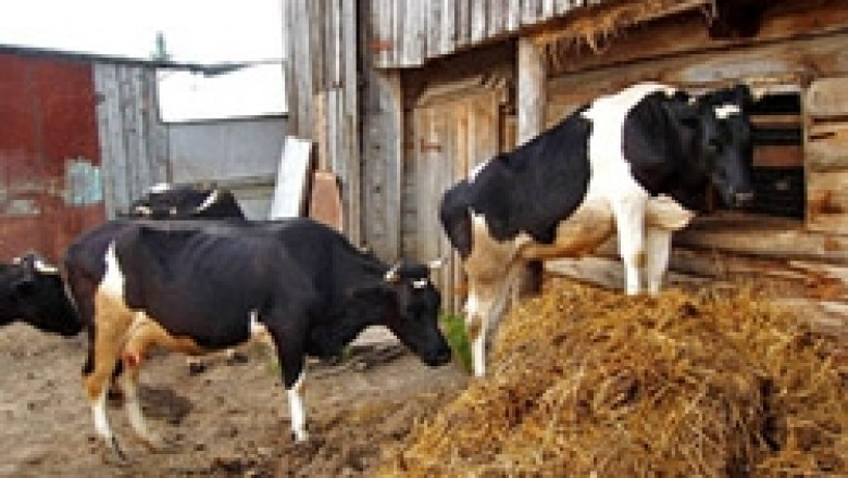 Ухажват и животновъдите със спорната нотификация за акциза на горивата