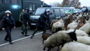 Гръцките фермери ще затворят границата с България в знак на протест - Agri.bg