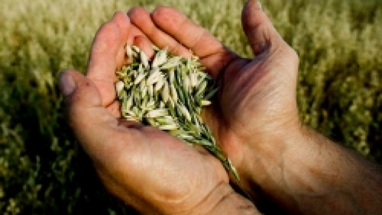 Над 70 фирми ще участват в борсата за семена и посадъчен материал в Добрич