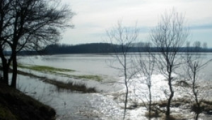 Започва приемът на заявления за подпомагане на стопаните пострадали от градушки и наводнения през 2010 г. - Agri.bg