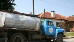 Над 16 млн. килограма са неизкупените млечни квоти - Agri.bg
