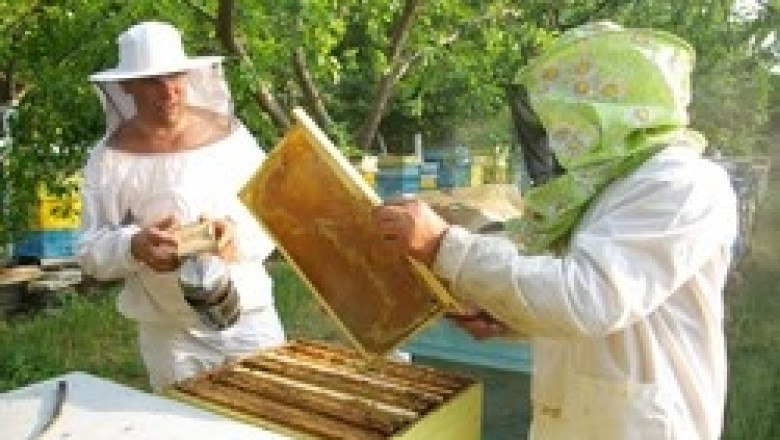 Парите по пчеларската програма за 2011 г. няма да стигнат за всички кандидати