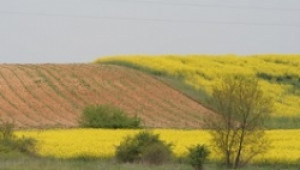 Все още голяма част от земята в България се обработва неправомерно - Agri.bg