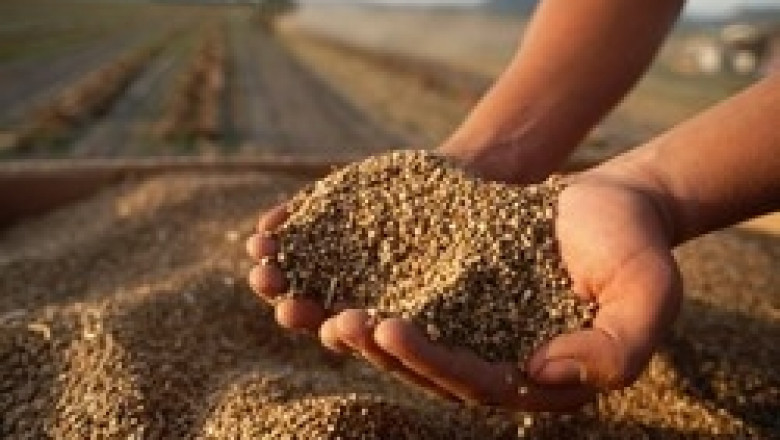 Ценовият таван на зърното в Русия не е достигнат