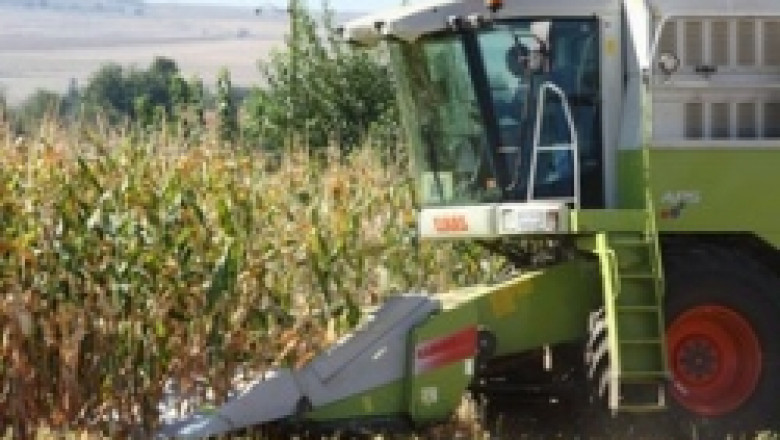 800 кг. добив от декар царевица отчитат фермери в Добричко