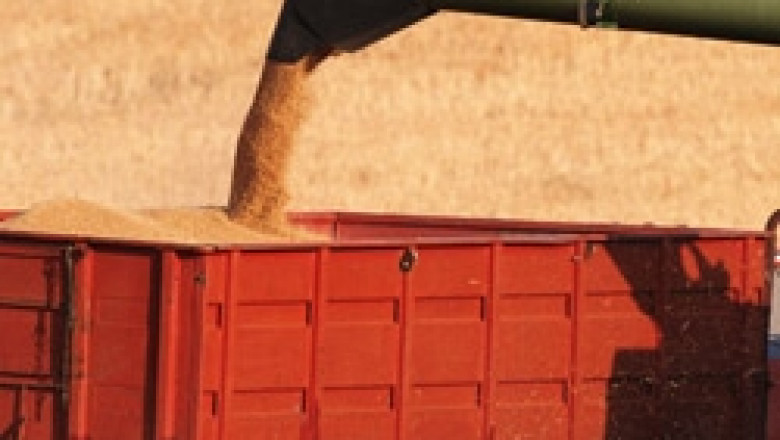 Котировките на купувачите на стоковата борса бележат ръст при пшеницата