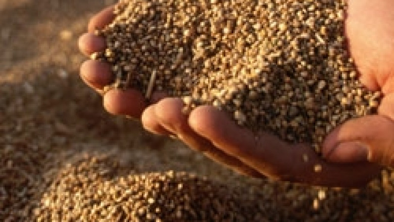 ДФЗ започна интервенционно изкупуване на зърно – 100 евро базова цена за тон