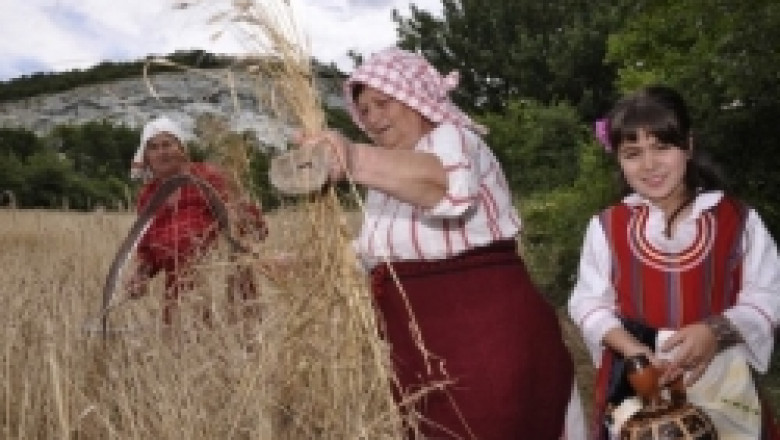 Акция за жътва на лимец в село Вировско - тази събота, 30 октомври 2010