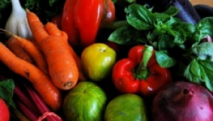 Община Долни чифлик стимулира производството на плодове и зеленчуци по поречието на р. Голяма Камчия - Agri.bg