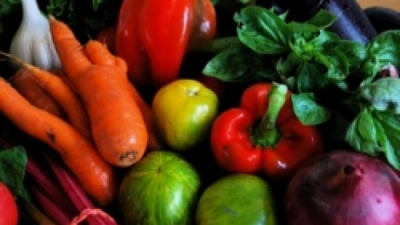 Община Долни чифлик стимулира производството на плодове и зеленчуци по поречието на р. Голяма Камчия