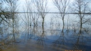 809 дка пшеница и 259 с рапица са пропадналите площи от наводненията в Добричко - Agri.bg