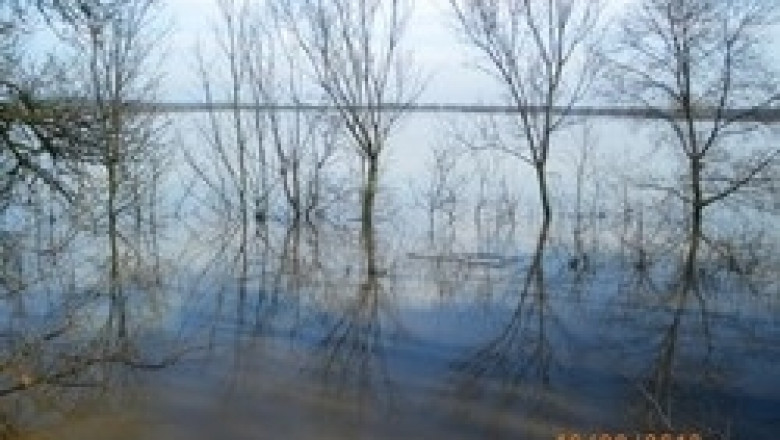809 дка пшеница и 259 с рапица са пропадналите площи от наводненията в Добричко