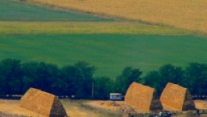 Преброяване на земеделските стопанства 2010 - проекто-документи и тестване - Agri.bg