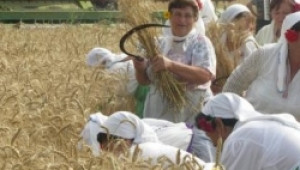 Биопроизводител в Източните Родопи инвестира в производство на лимец - Agri.bg
