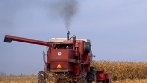 Месец юни ще бъде определящ за зърнената реколта и стартовите изкупни цени - Agri.bg