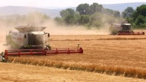 Испански фермери протестираха с искане към ЕС за стабилна подкрепа за сектора - Agri.bg