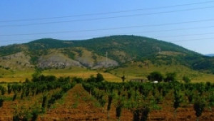 Биопроизводителите останаха „последната дупка на кавала” - Agri.bg