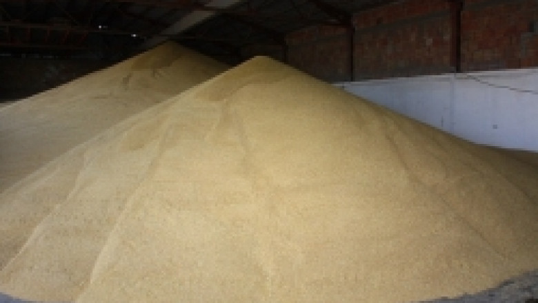 Пазарът у нас търси стартовата цена на пшеницата от реколта 2010