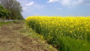 България първа в ЕС по изплатени субсидии за земеделие, според министър Найденов - Agri.bg