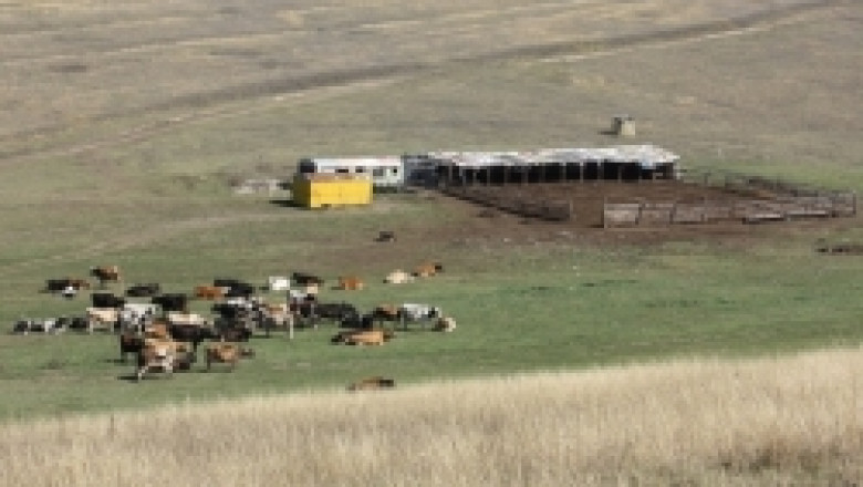 Животновъди не могат да модернизират фермите си заради забавяне на проектите им по ПРСР 2007-2013