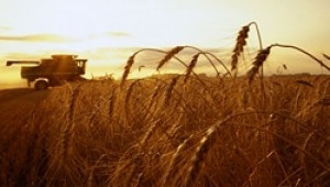 ЕК обяви, че ще отпусне 10 млн. евро за подпомагане на българското земеделие - Agri.bg