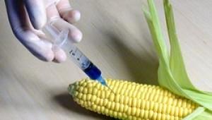 Лабораториятя за анализ на ГМО в околната среда ще бъде открита в четвъртък - Agri.bg