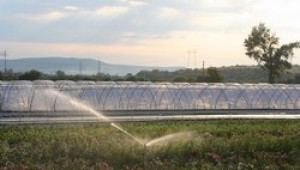 Млади фермери реализират проект за оранжерии въпреки трудностите - Agri.bg