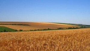 Христо Цветанов (АЗПБ): Очакваме много застъпвания след очертаването на земеделските площи - Agri.bg