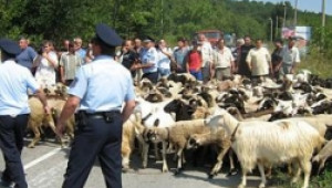Национален протест на животновъдите ще се проведе днес на АМ „Тракия” - Agri.bg