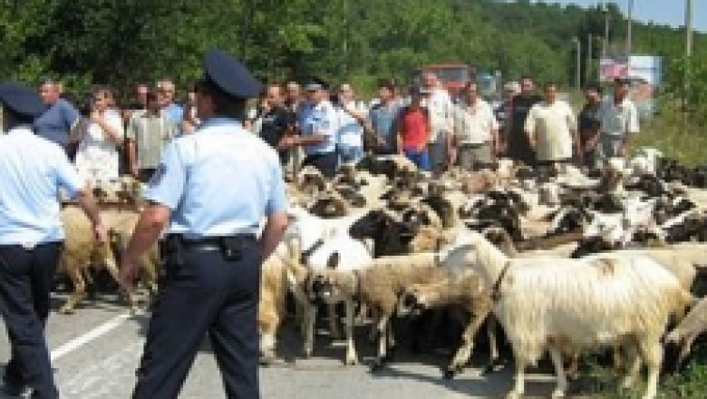 Национален протест на животновъдите ще се проведе днес на АМ „Тракия”
