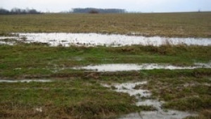 Земеделци в югоизточна България все още не могат да торят и сеят заради мокрите ниви - Agri.bg